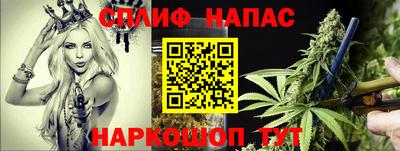 индика Бийск