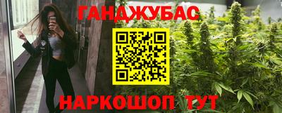 индика Бийск