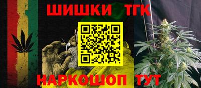 индика Бийск