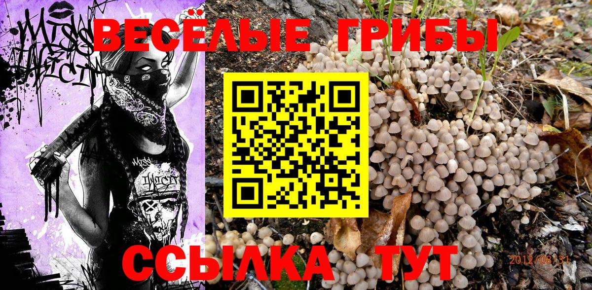 Псилоцибиновые грибы ЛСД  Вход с VPN  Белая Калитва 